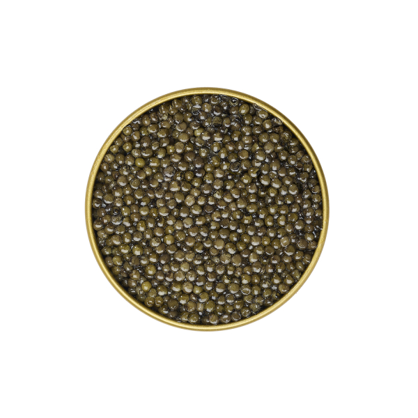 Caviar Osciètre Prunier Supérieur