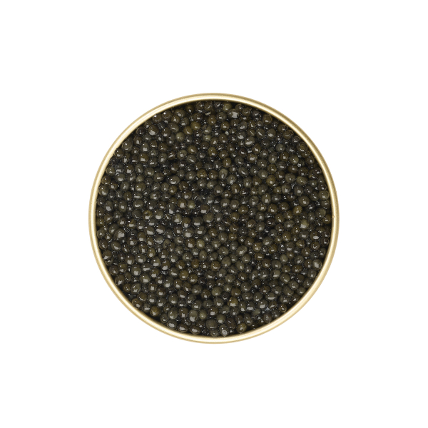 Caviar Osciètre Prunier Malossol