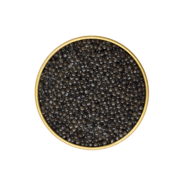 Caviar Baeri Prunier Tradition