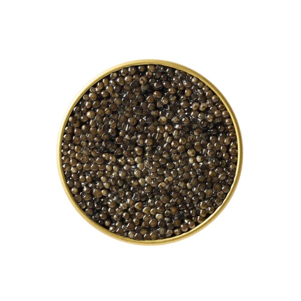 Prunier Saint-James Baeri Caviar