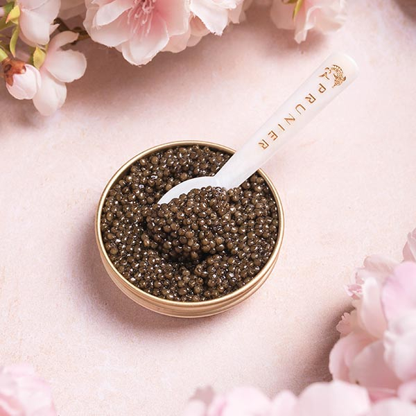 Caviar Osciètre de Printemps