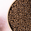 Caviar Osciètre de Printemps