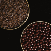 caviar Prunier et perles de chocolat