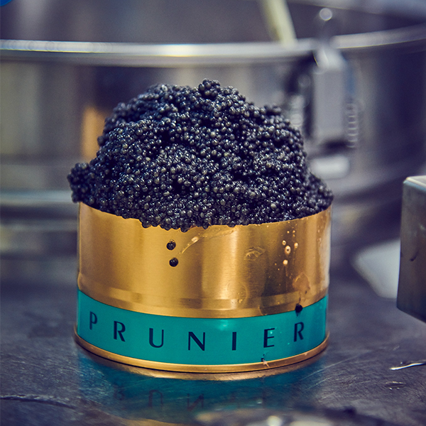 how is caviar made