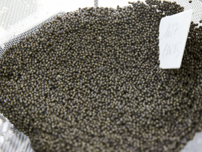 Préparation du caviar : le salage